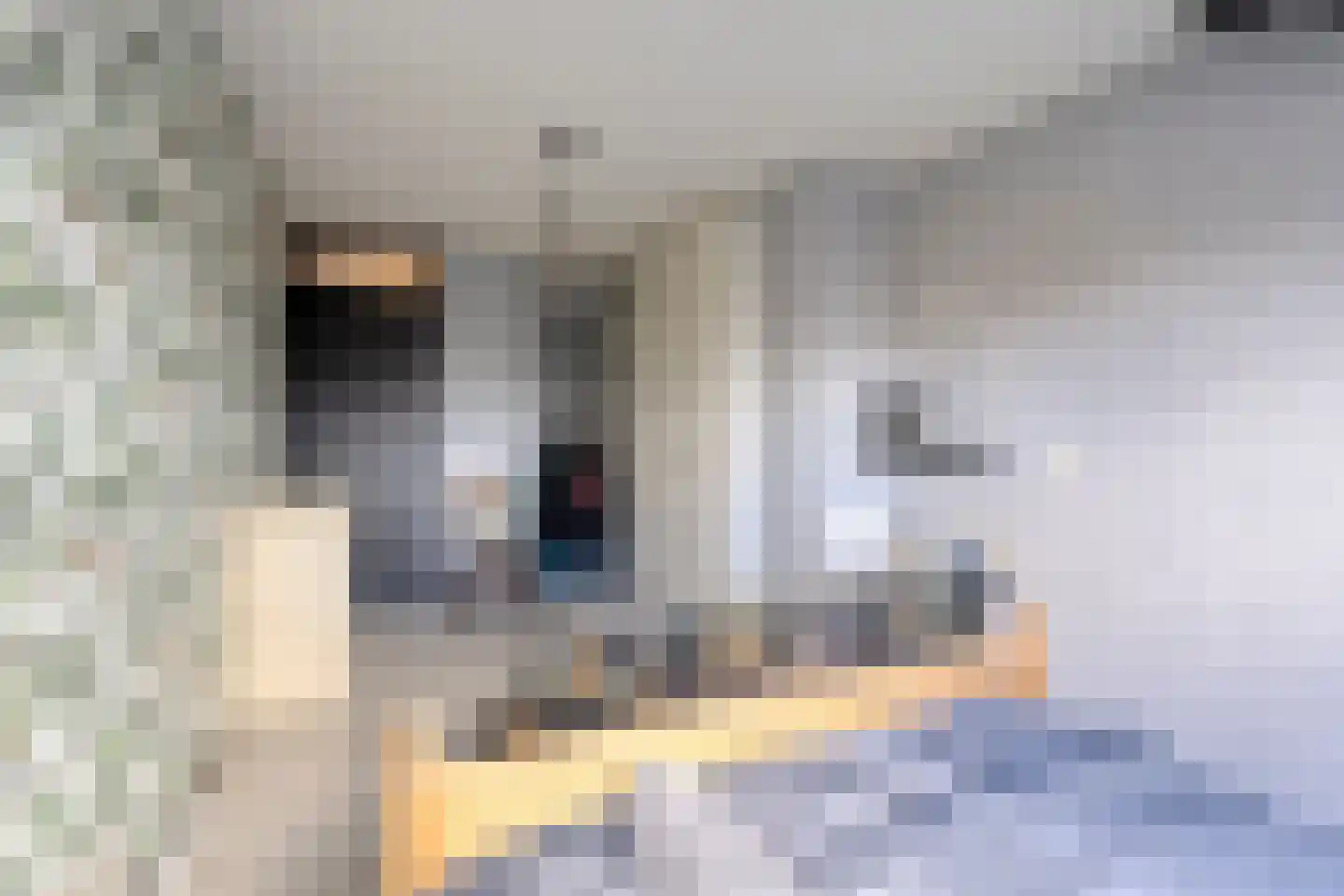 Groenhof 9 Huizen thumbnail 8