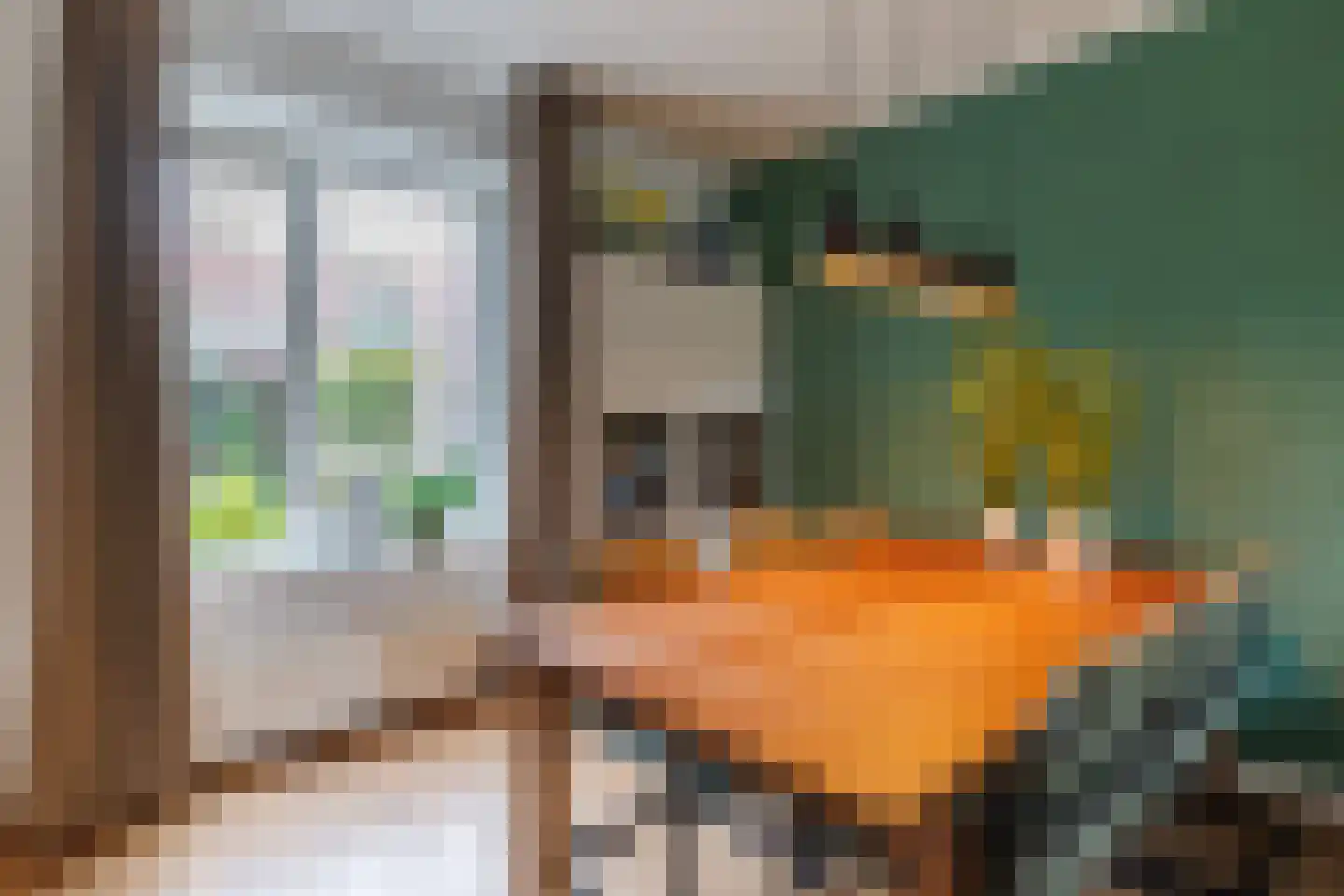Groenhofstraat 17 Hengelo thumbnail 14