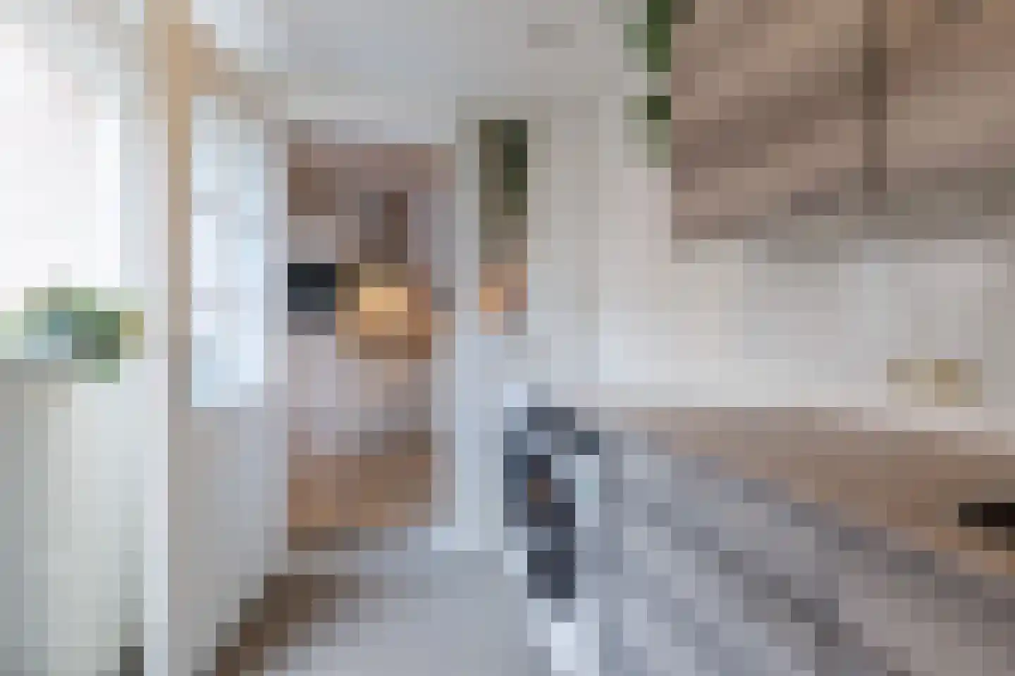 Groenhofstraat 17 Hengelo thumbnail 19