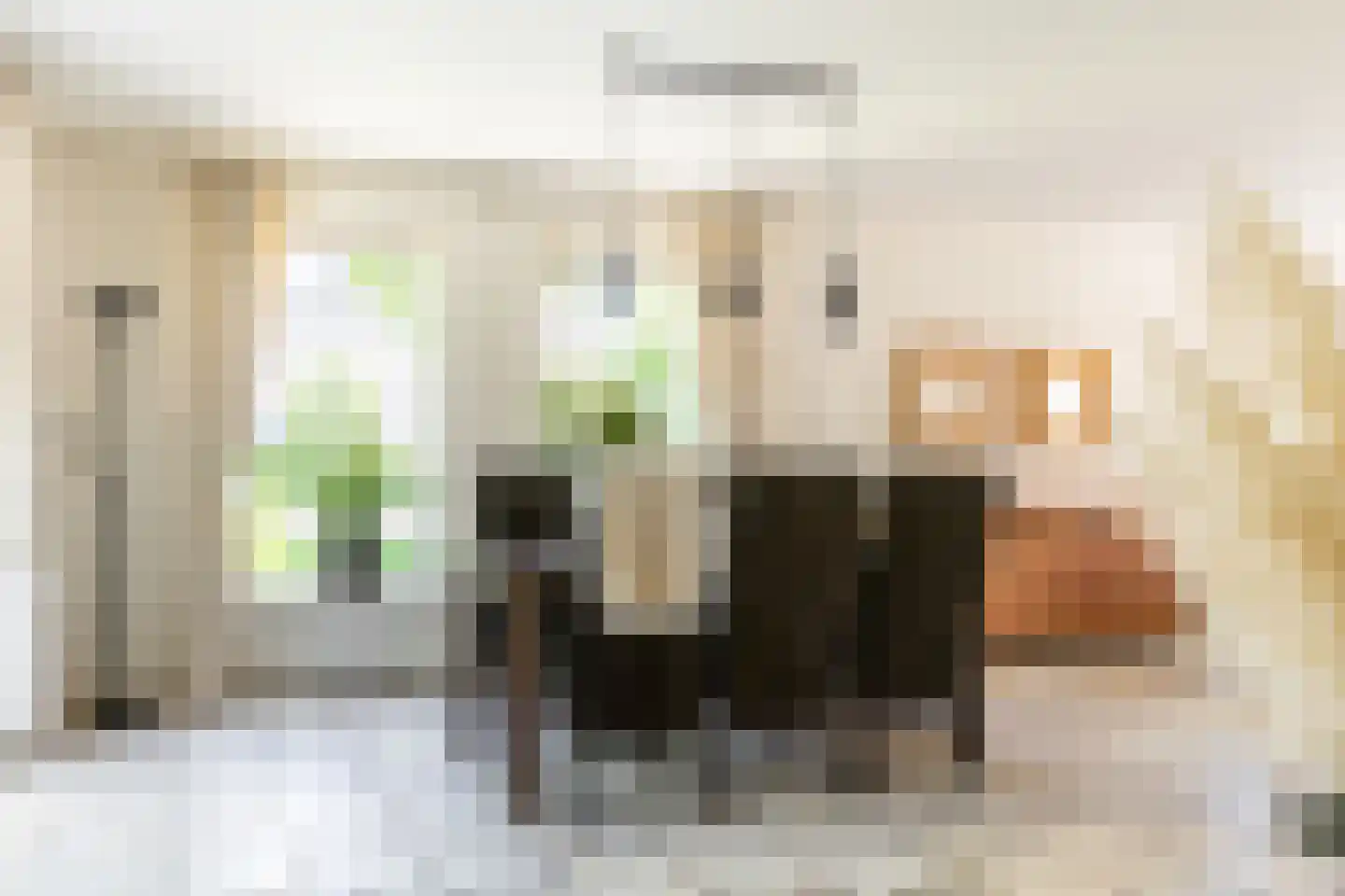 Groenhove 13 Stolwijk thumbnail 16