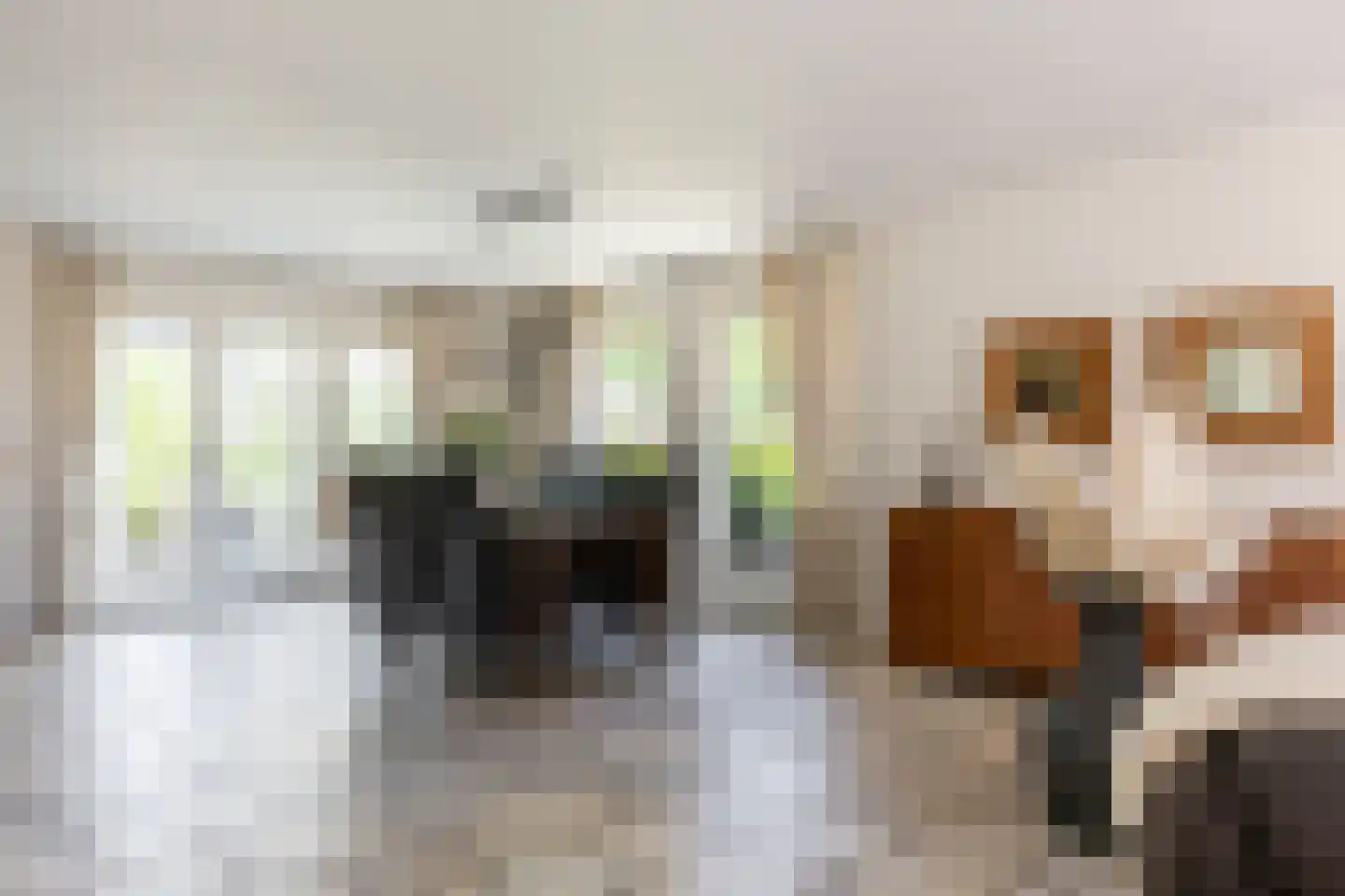 Groenhove 13 Stolwijk thumbnail 19