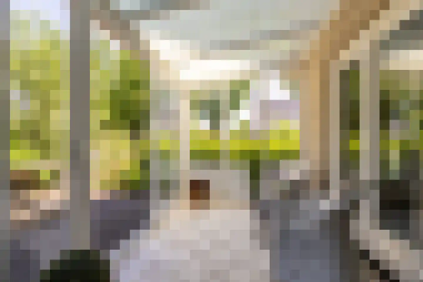 Groenhove 13 Stolwijk thumbnail 24