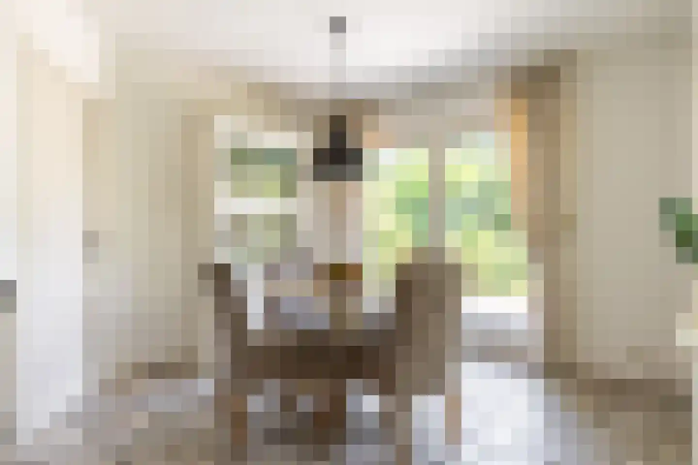 Groenhove 13 Stolwijk thumbnail 30