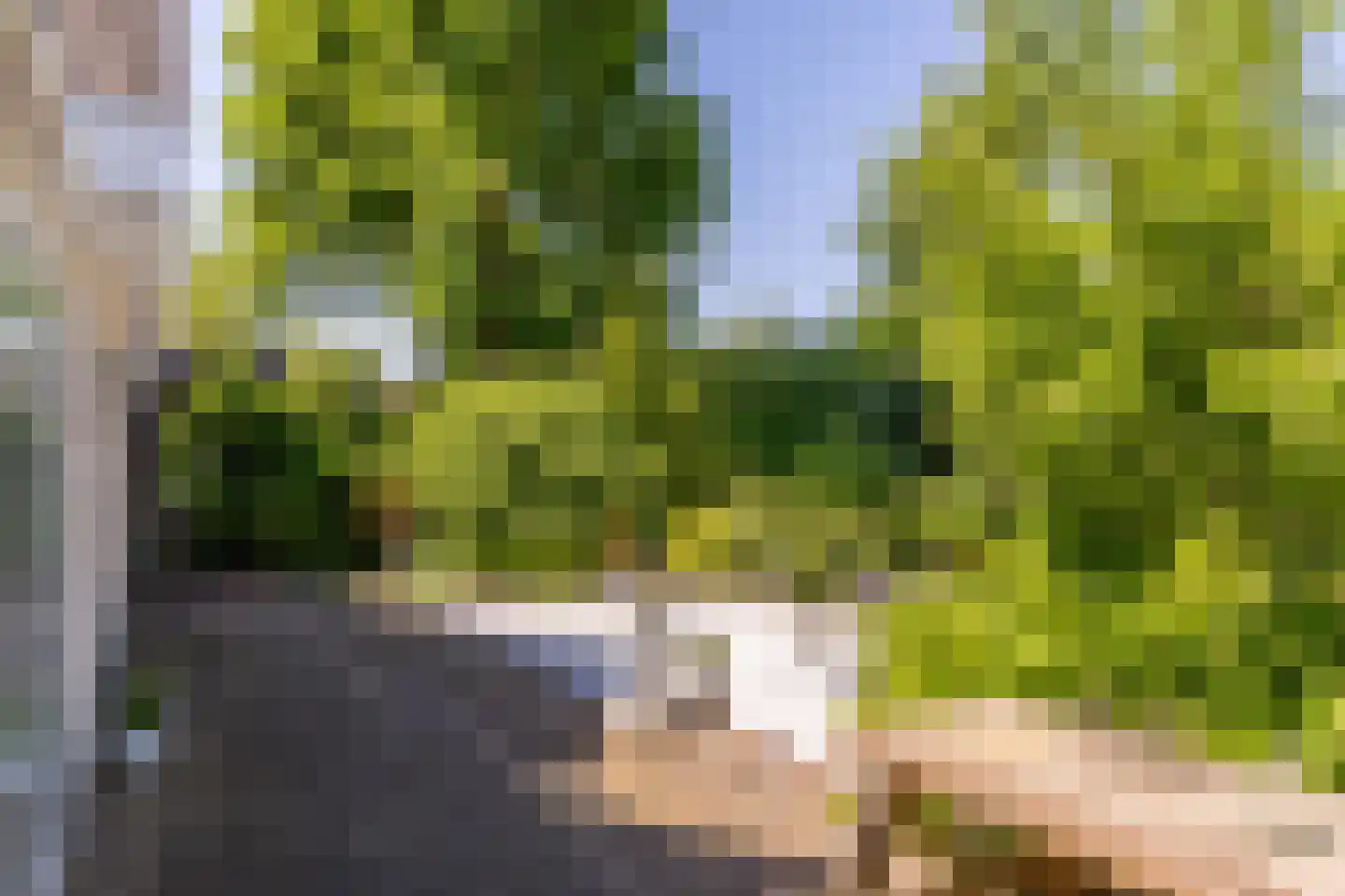 Groenhove 13 Stolwijk thumbnail 58