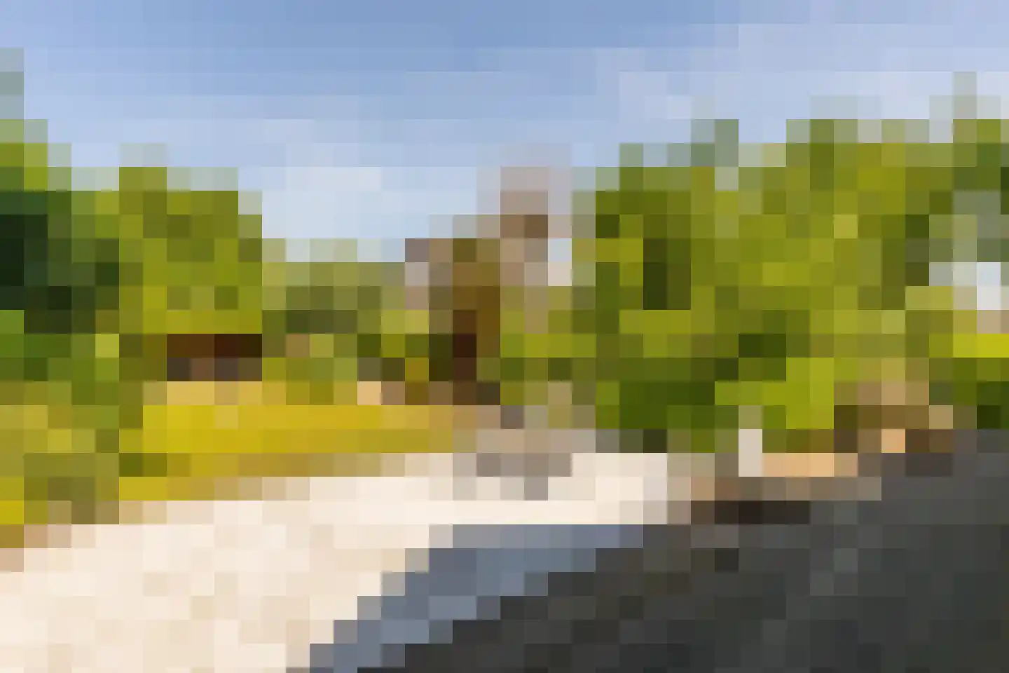 Groenhove 13 Stolwijk thumbnail 59