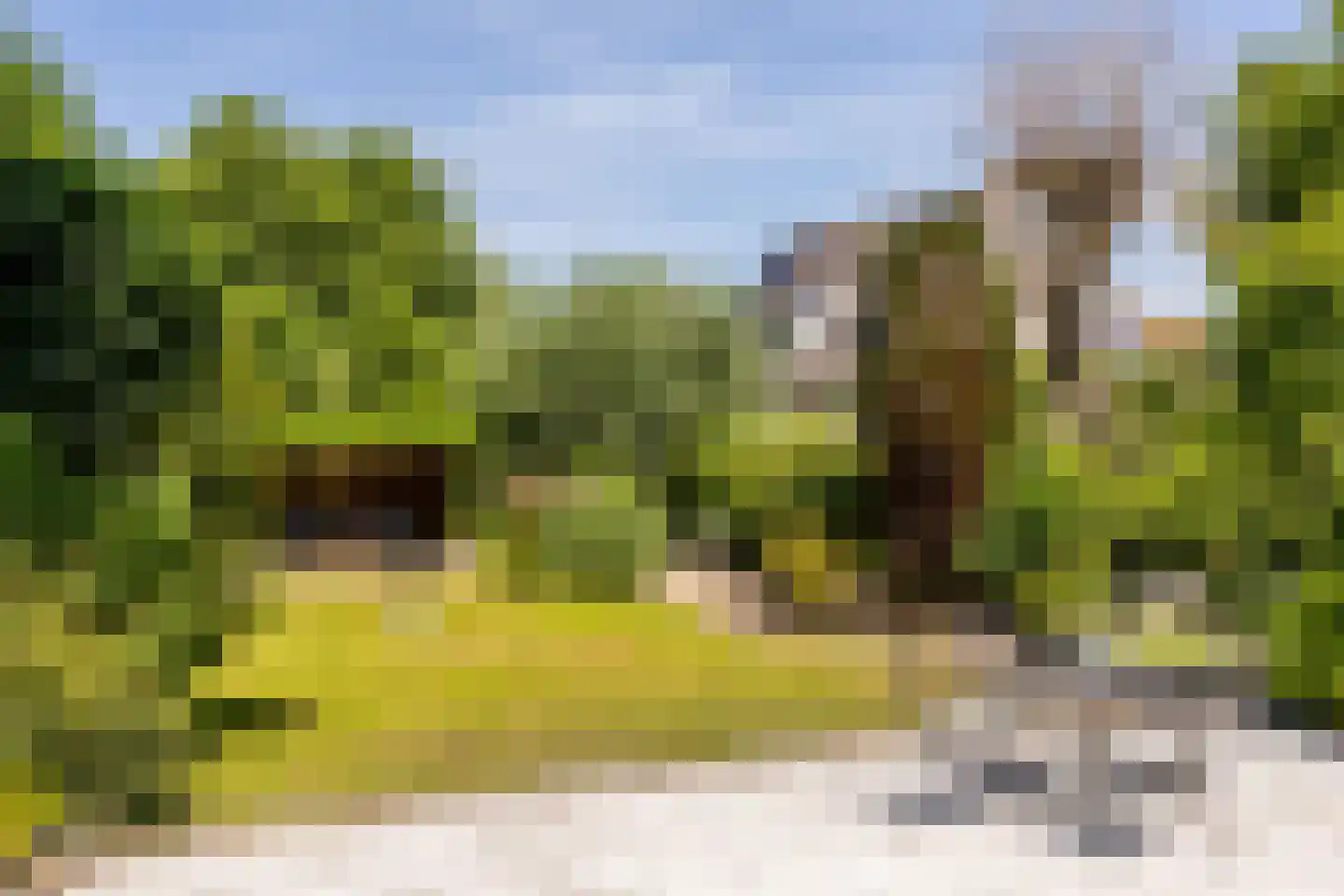 Groenhove 13 Stolwijk thumbnail 60