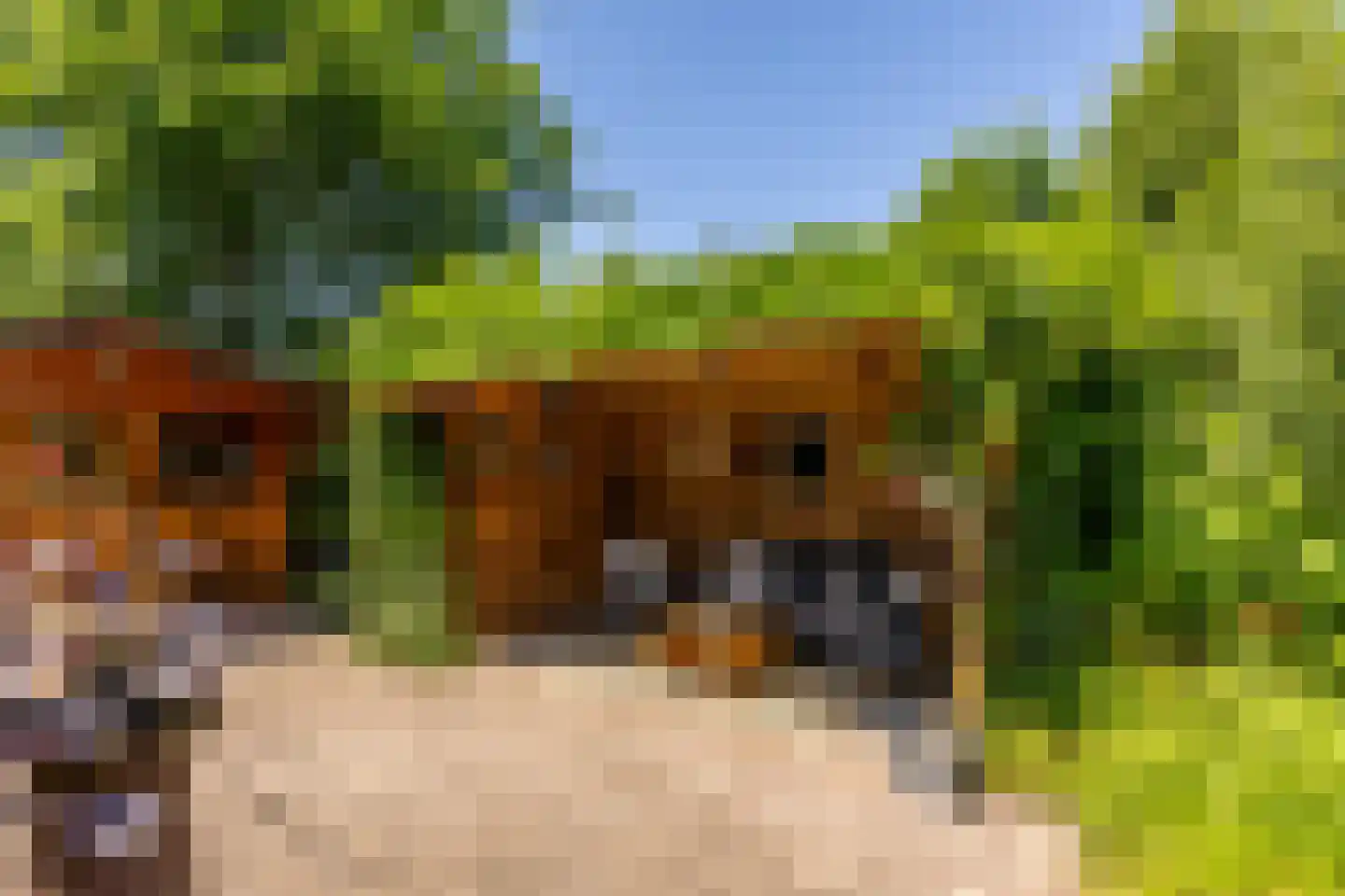 Groenhove 13 Stolwijk thumbnail 62