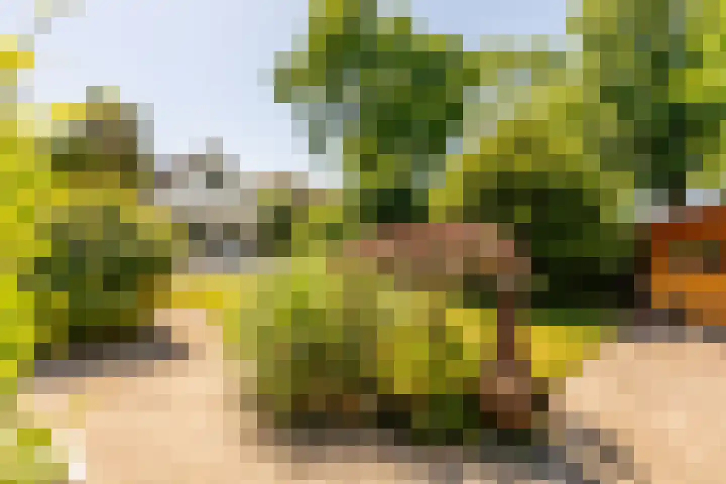 Groenhove 13 Stolwijk thumbnail 63