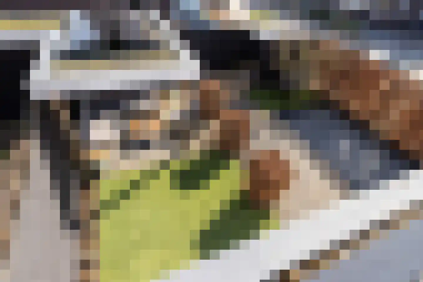 Groenhove 18 Stolwijk thumbnail 26