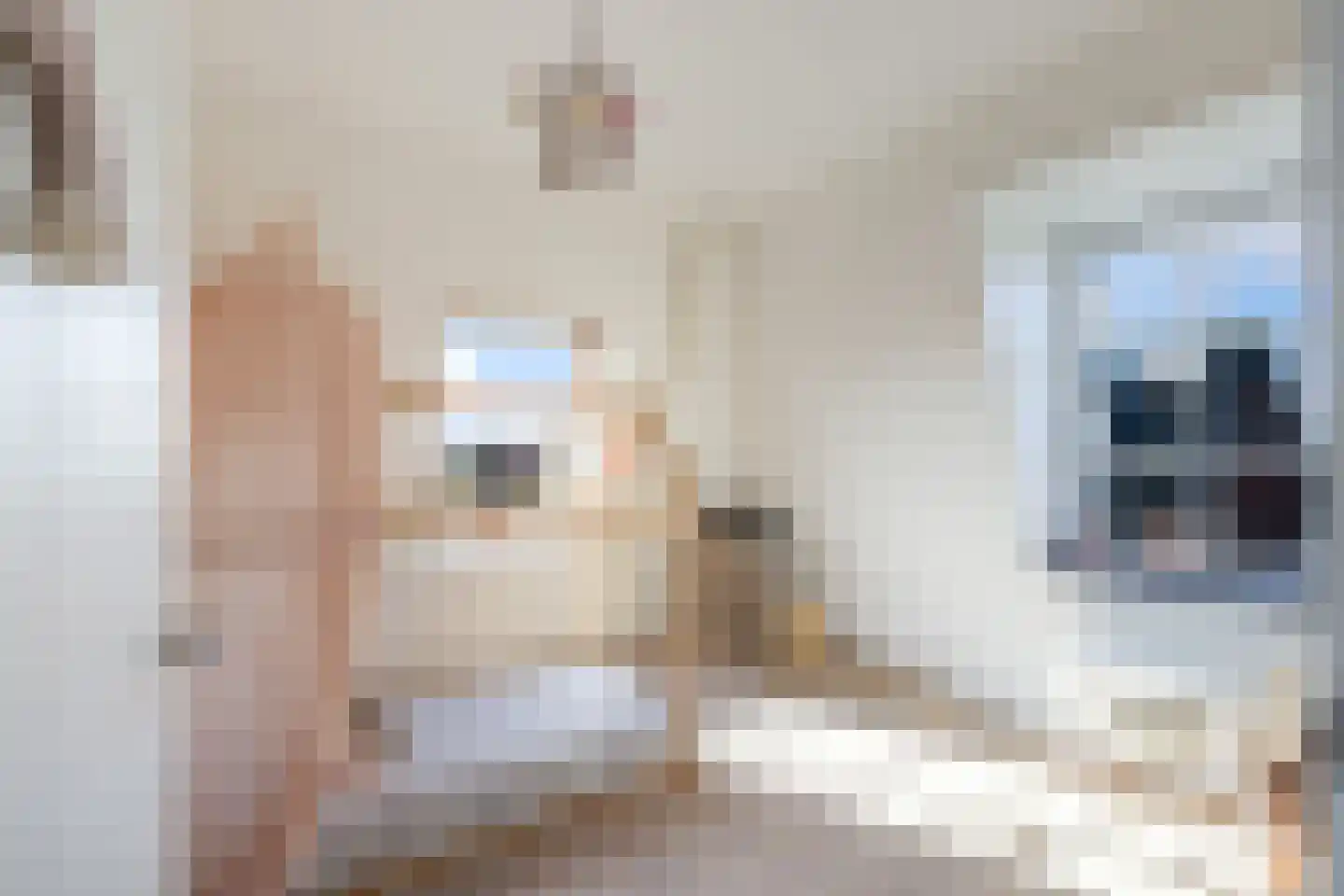 Groenhove 18 Stolwijk thumbnail 39