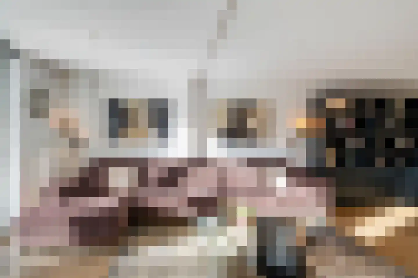 Groenhove 6 Dordrecht thumbnail 4