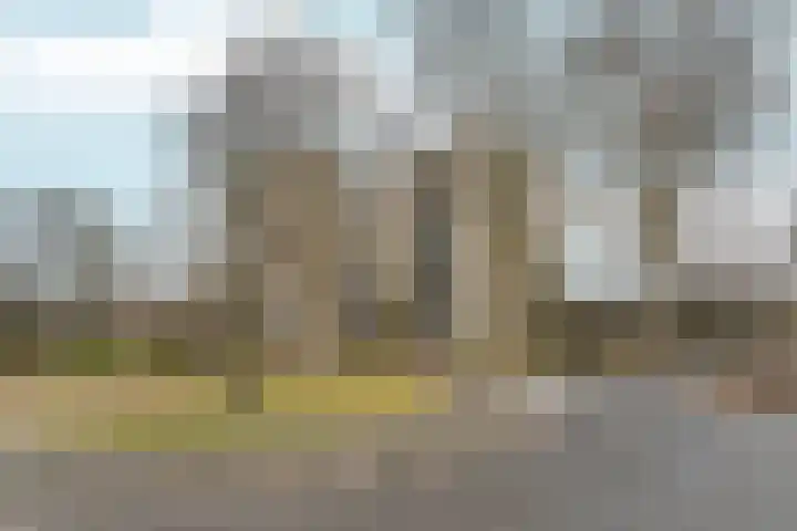Groenhoven 115 Amsterdam thumbnail 27