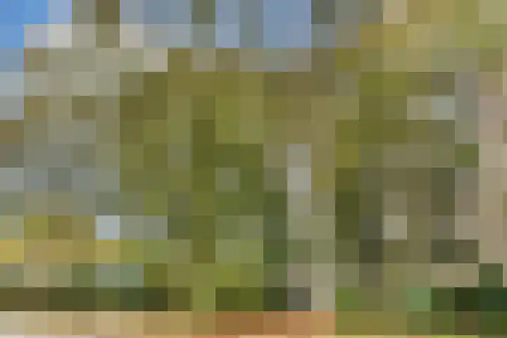 Groenhoven 134 Amsterdam thumbnail 16