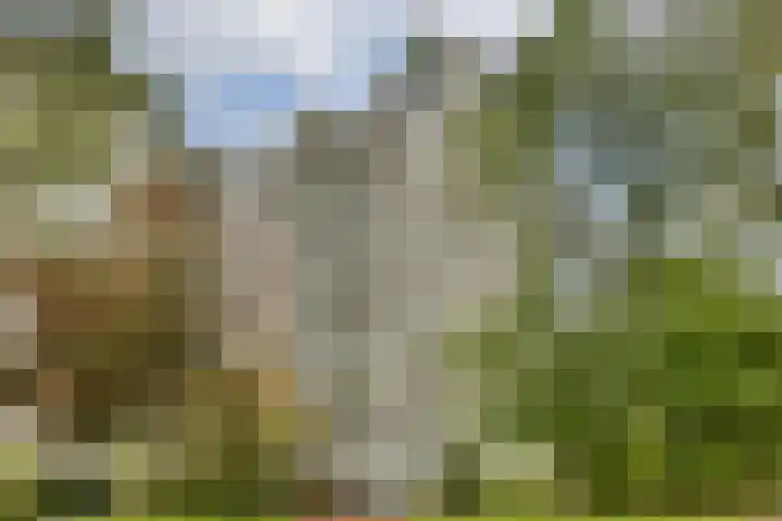 Groenhoven 134 Amsterdam thumbnail 17