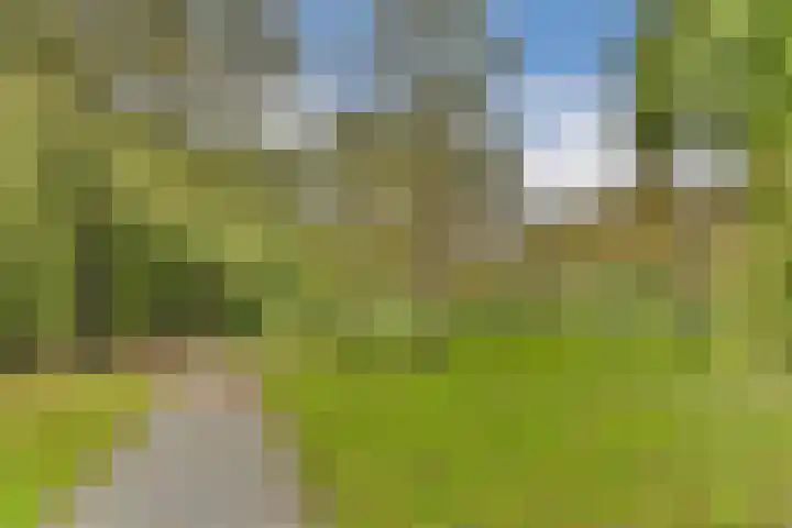 Groenhoven 134 Amsterdam thumbnail 19