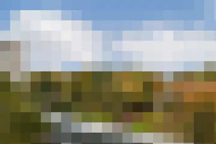 Groenhoven 134 Amsterdam thumbnail 20