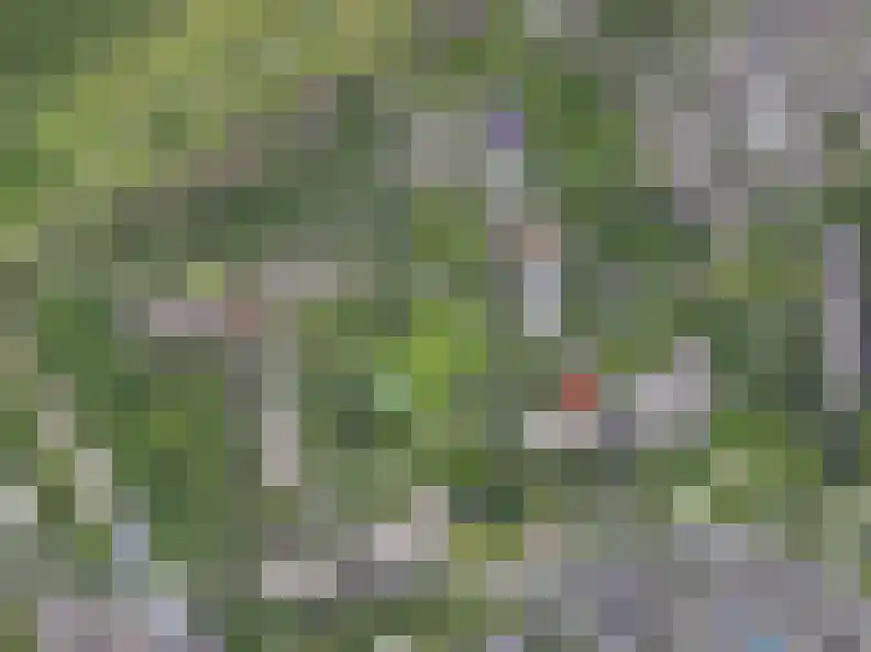 Groenhoven 148 Amsterdam thumbnail 36