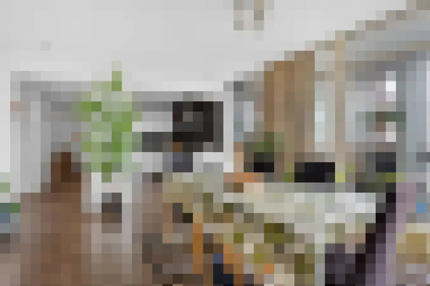Groenhoven 163 Amsterdam thumbnail 12