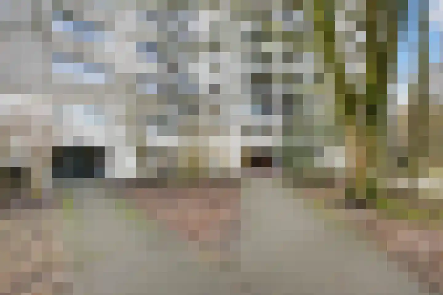 Groenhoven 163 Amsterdam thumbnail 42