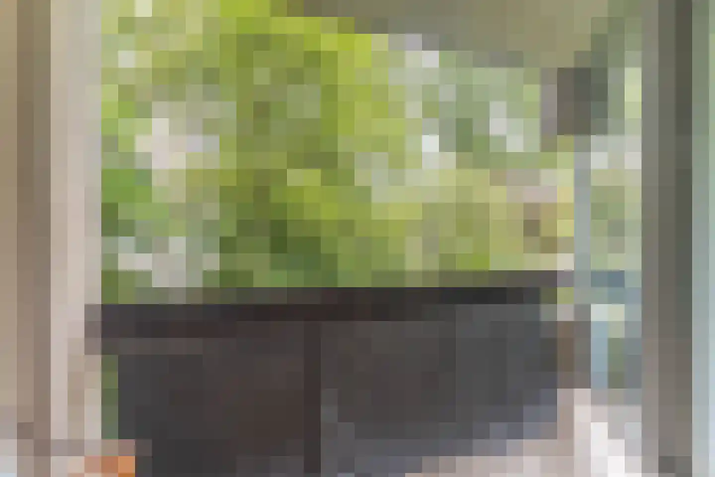 Groenhoven 207 Amsterdam thumbnail 15