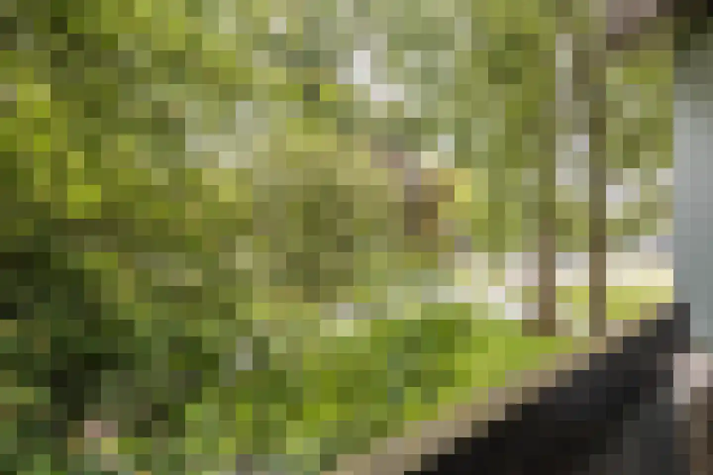Groenhoven 207 Amsterdam thumbnail 16