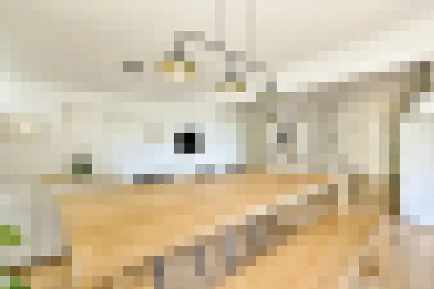 Groenhoven 221 Amsterdam thumbnail 11