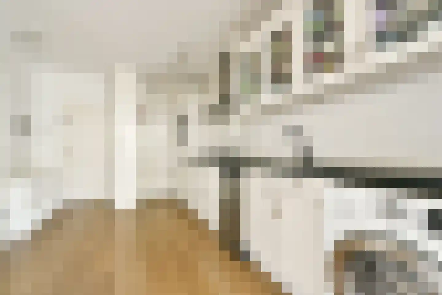 Groenhoven 221 Amsterdam thumbnail 16