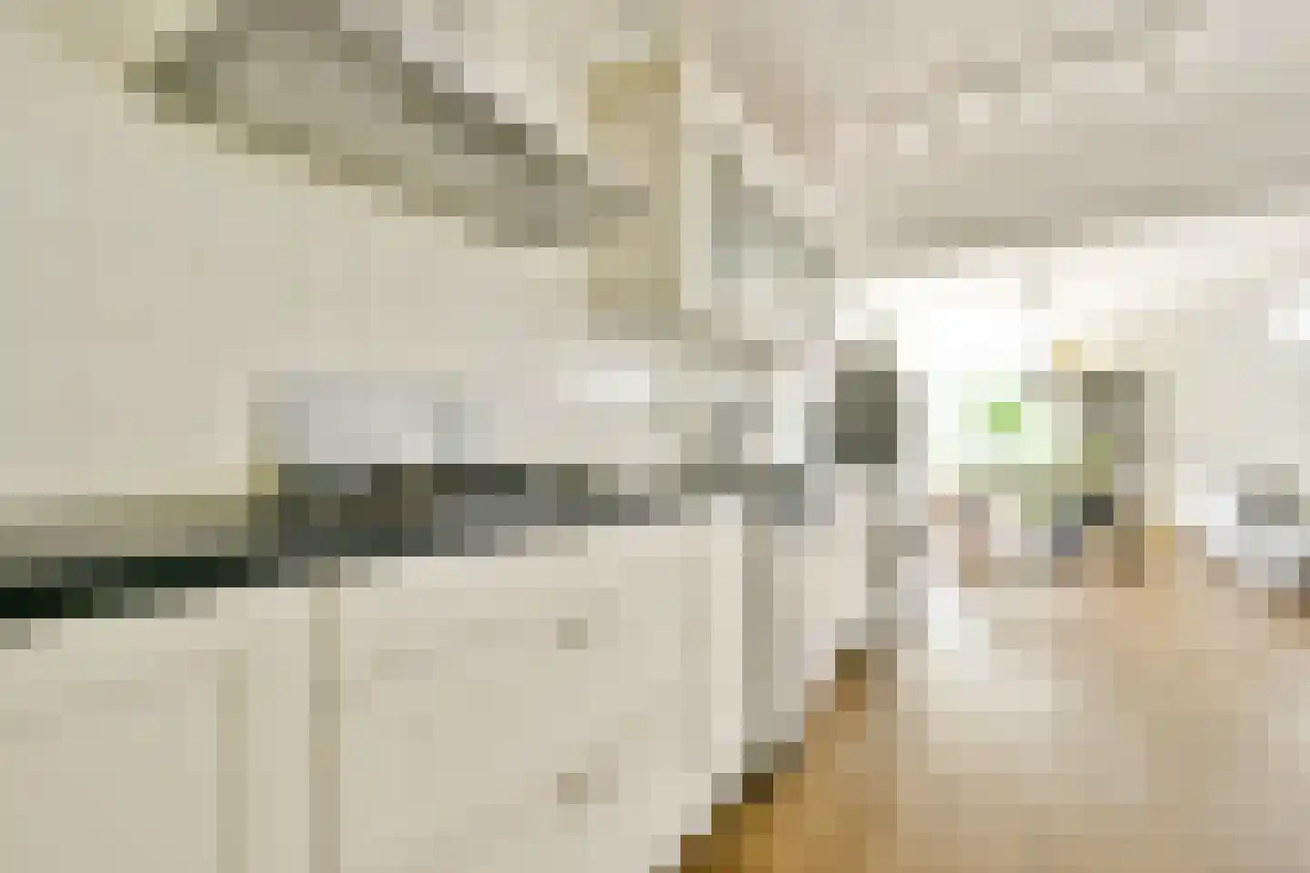 Groenhoven 221 Amsterdam thumbnail 17