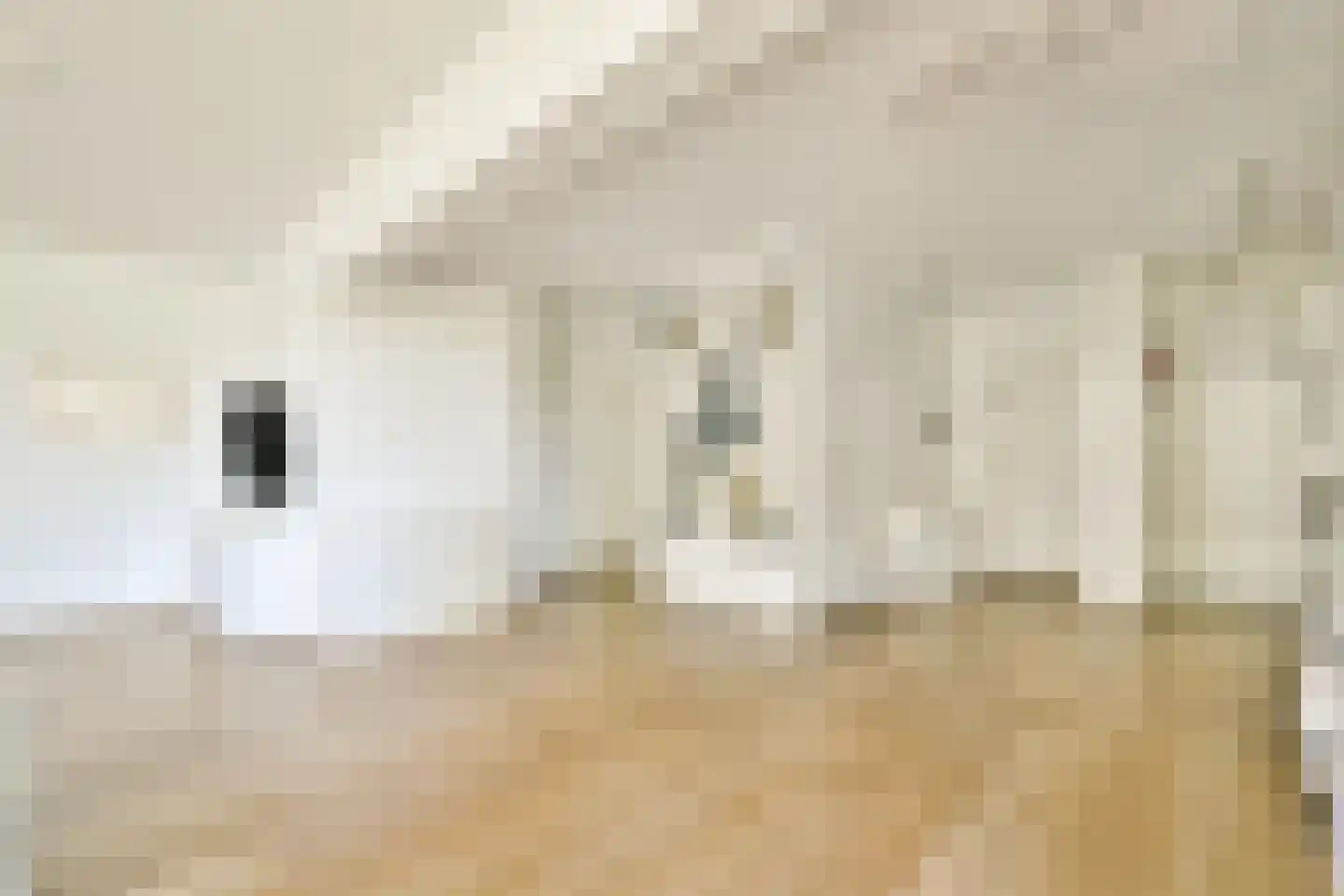 Groenhoven 221 Amsterdam thumbnail 18