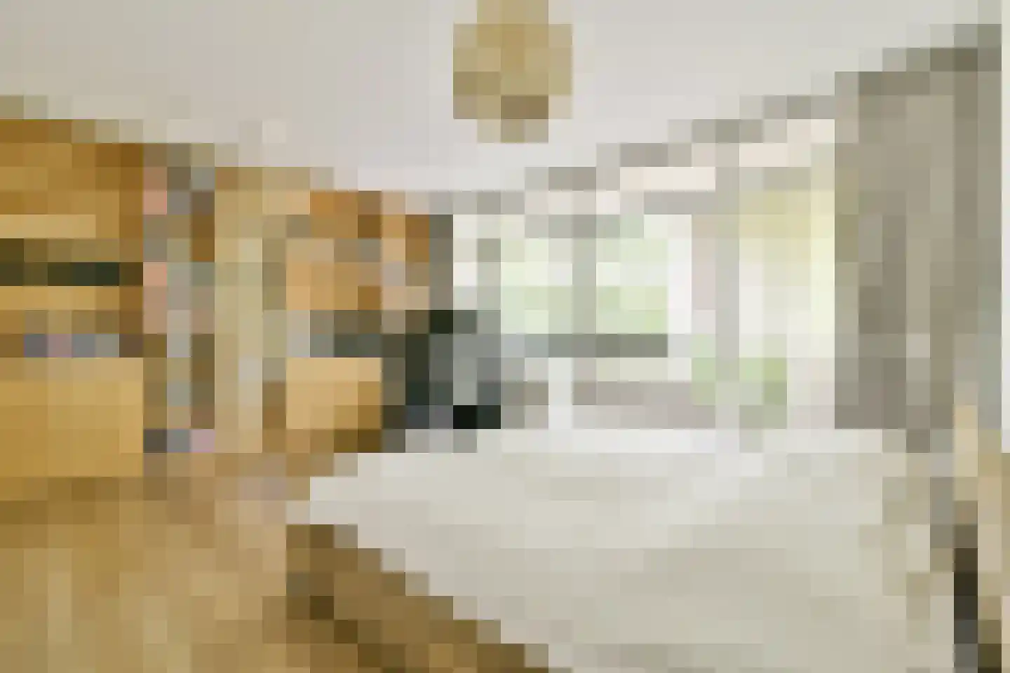 Groenhoven 221 Amsterdam thumbnail 23
