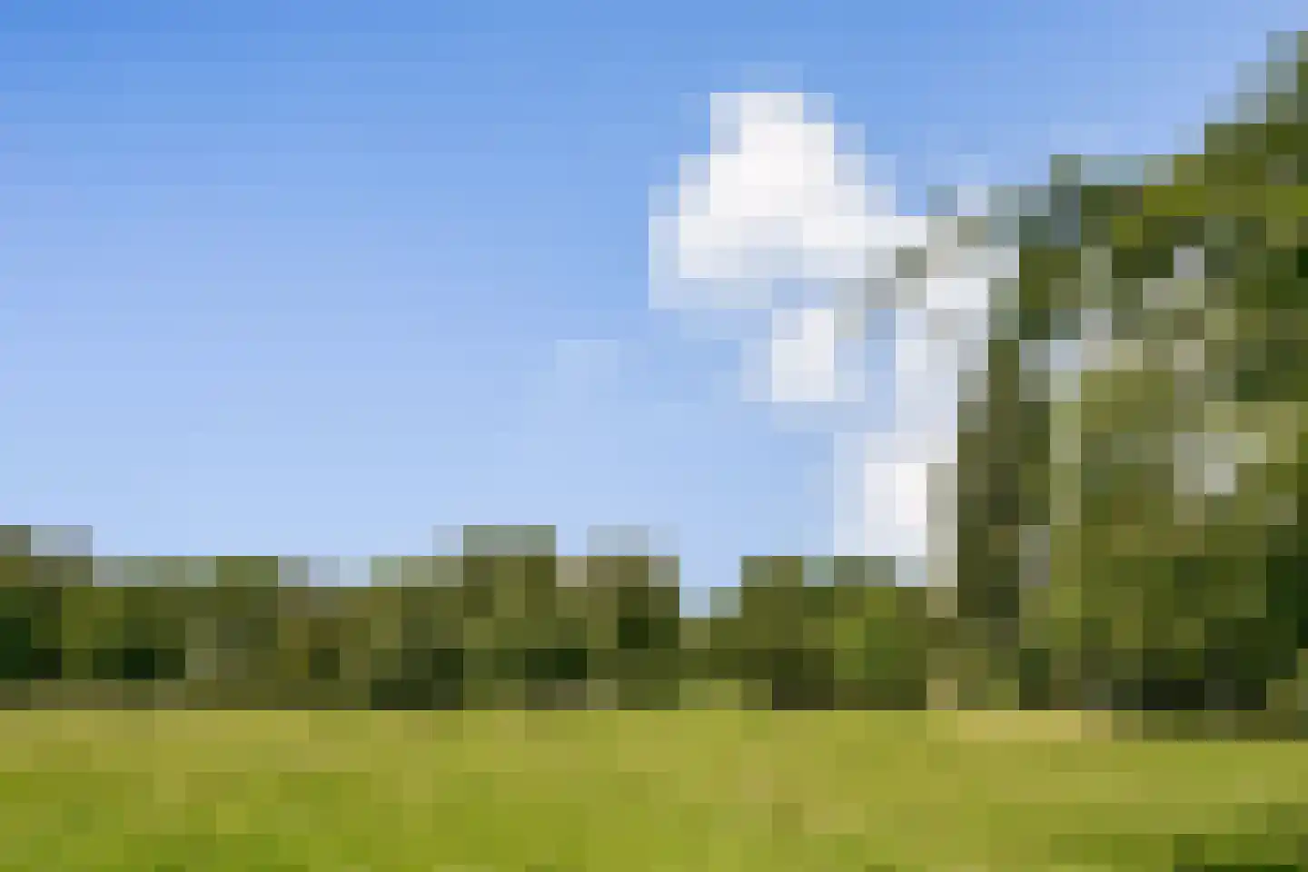 Groenhoven 221 Amsterdam thumbnail 27