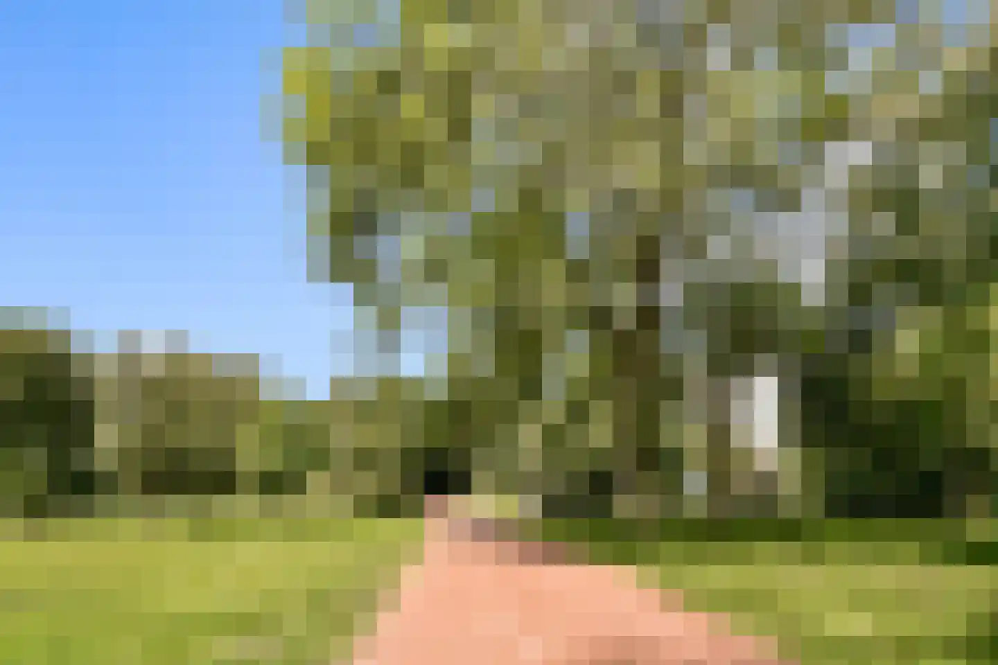 Groenhoven 221 Amsterdam thumbnail 28