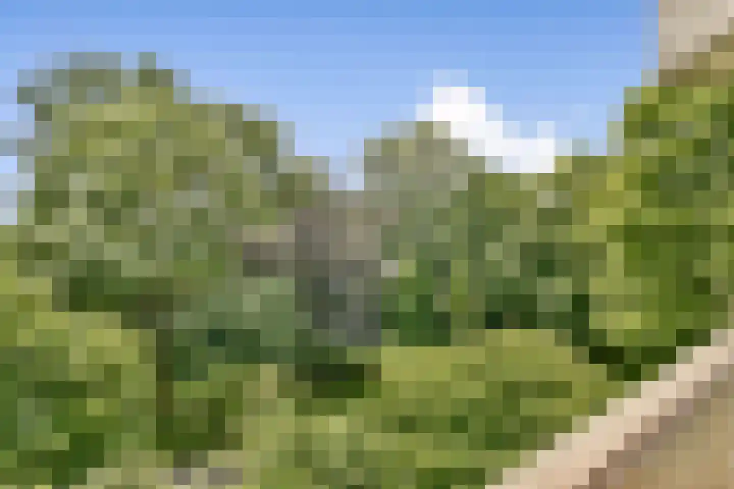 Groenhoven 221 Amsterdam thumbnail 4