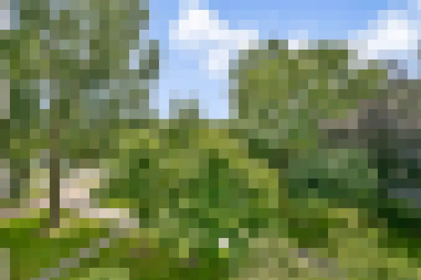 Groenhoven 221 Amsterdam thumbnail 5