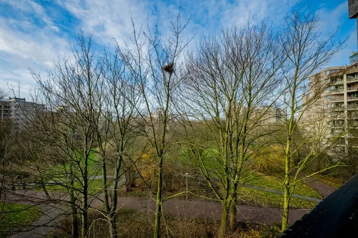 Groenhoven 227 Amsterdam thumbnail 17