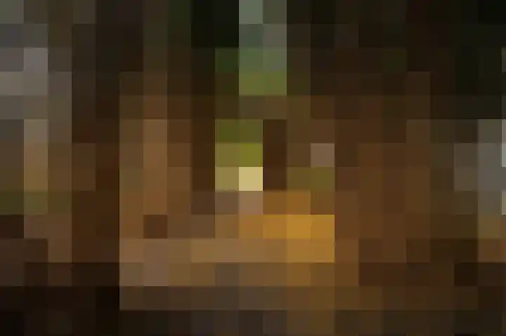 Groenhoven 227 Amsterdam thumbnail 29