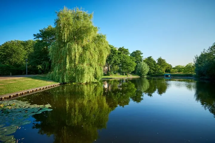 Groenhoven 227 Amsterdam thumbnail 30