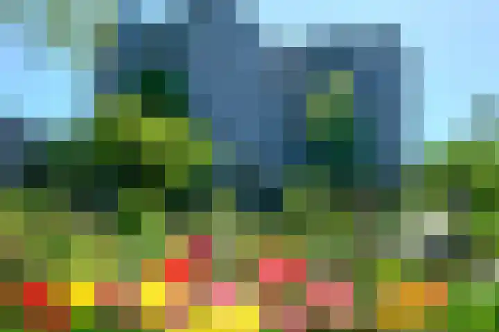 Groenhoven 227 Amsterdam thumbnail 31