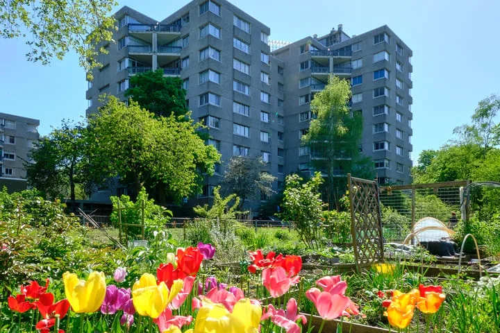 Groenhoven 227 Amsterdam thumbnail 31