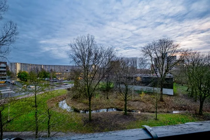 Groenhoven 227 Amsterdam thumbnail 8