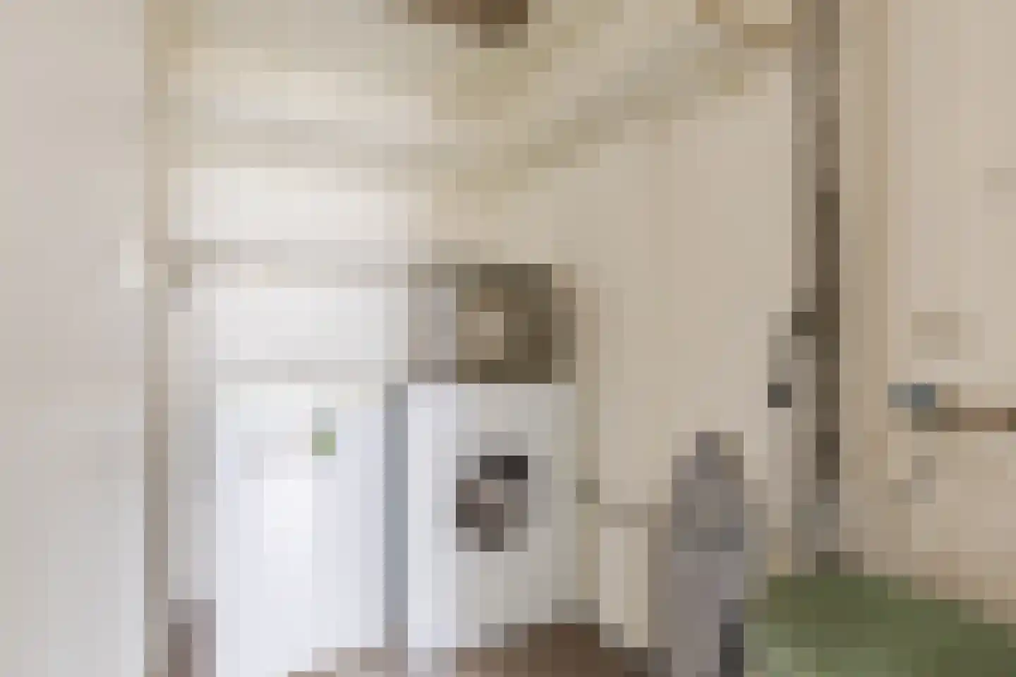 Groenhoven 247 Amsterdam thumbnail 12