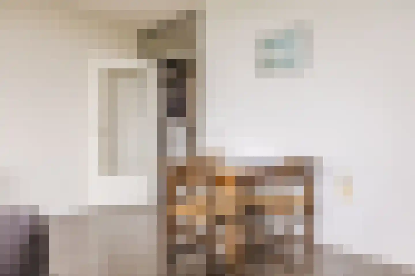 Groenhoven 247 Amsterdam thumbnail 15
