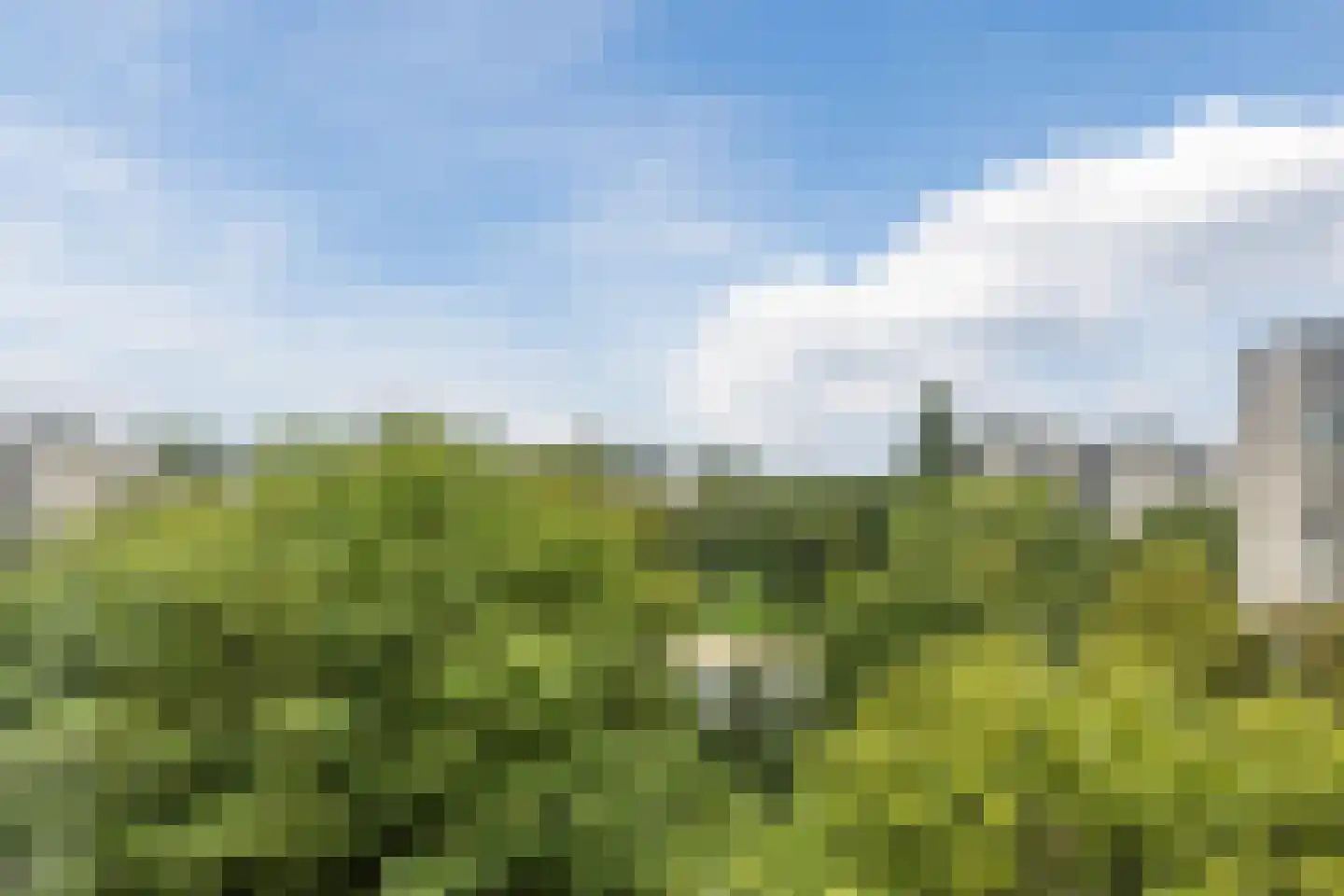 Groenhoven 247 Amsterdam thumbnail 27