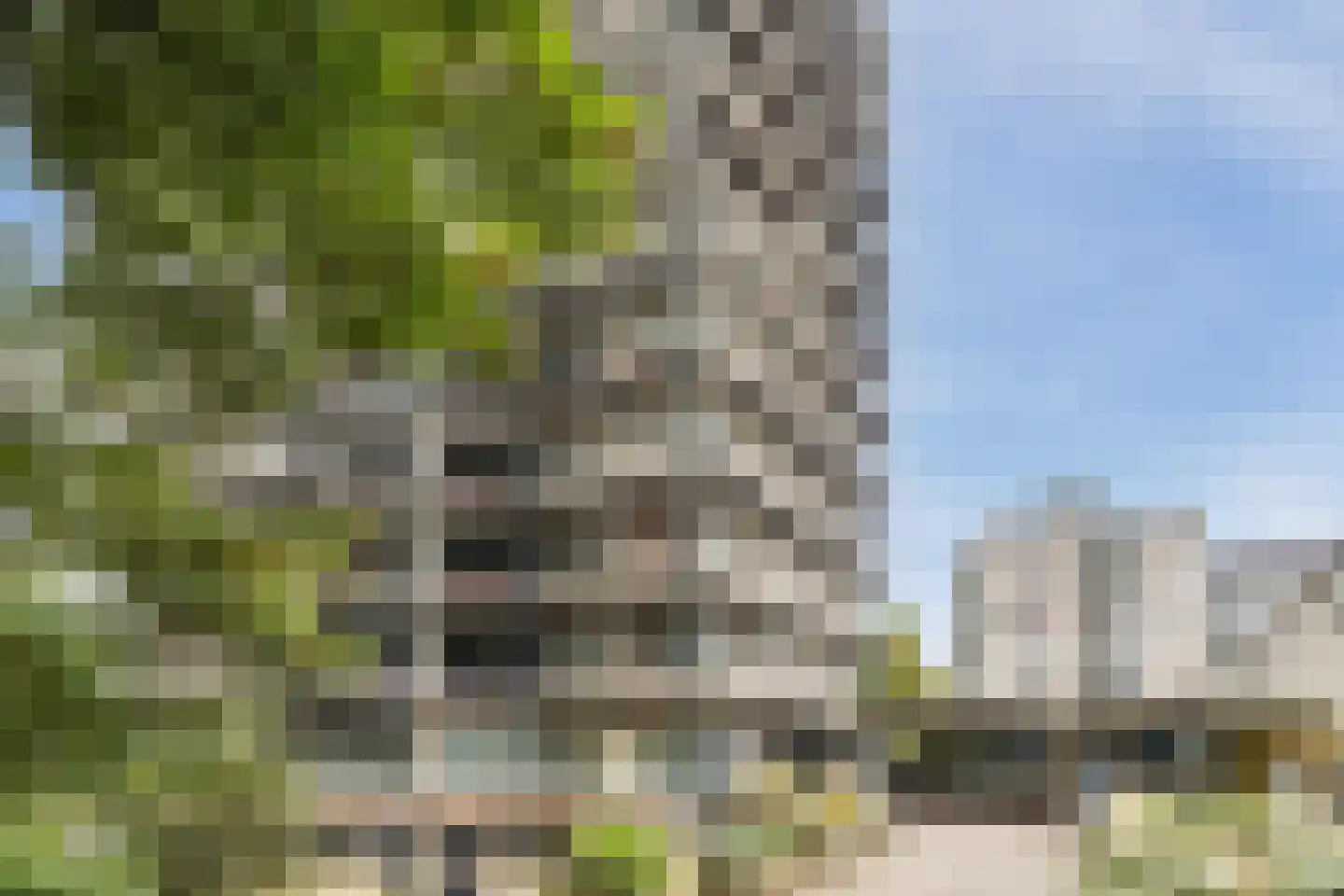 Groenhoven 247 Amsterdam thumbnail 29