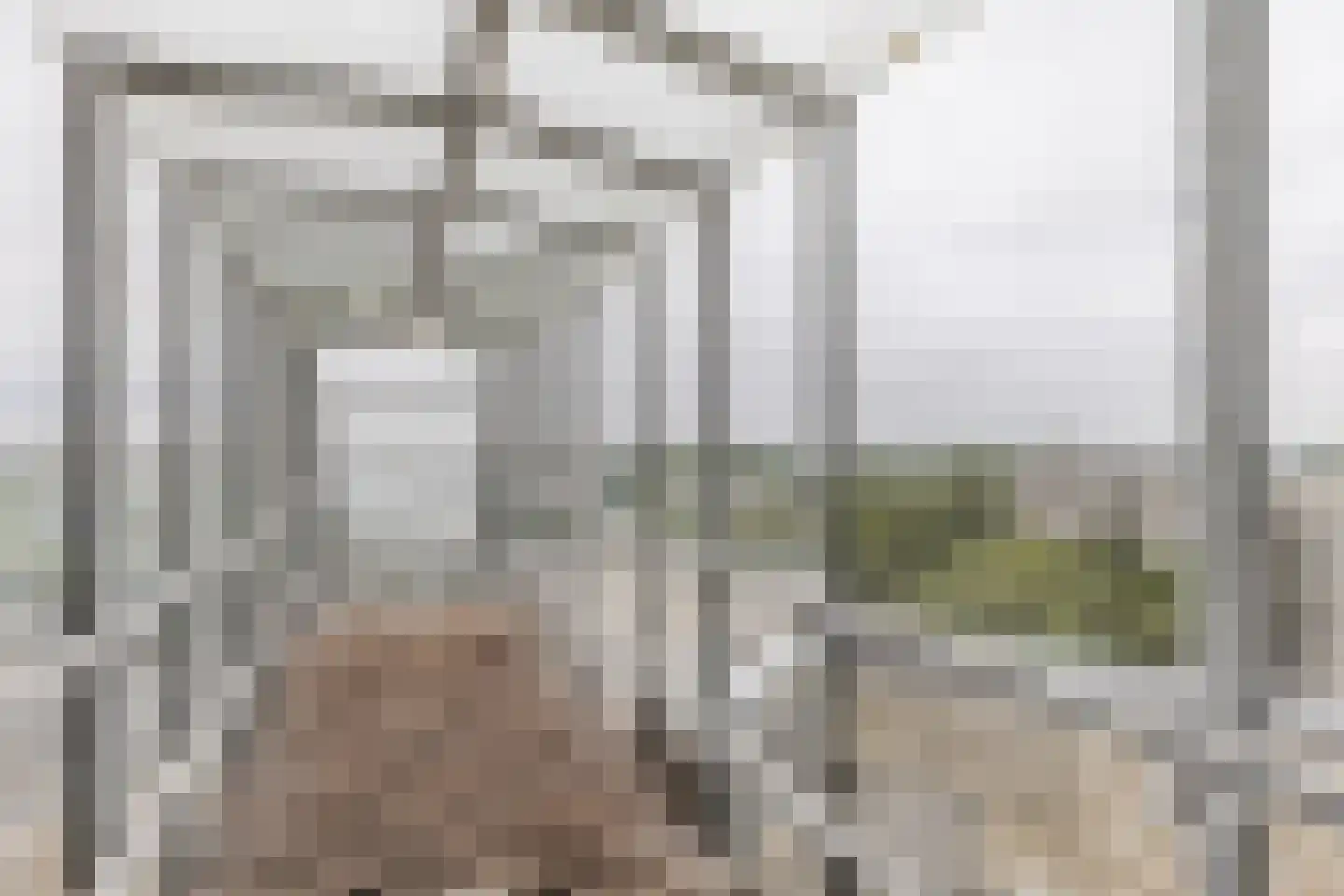 Groenhoven 247 Amsterdam thumbnail 42
