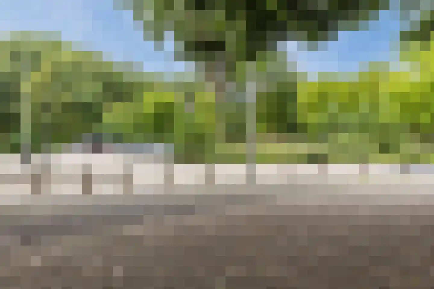 Groenhoven 247 Amsterdam thumbnail 47