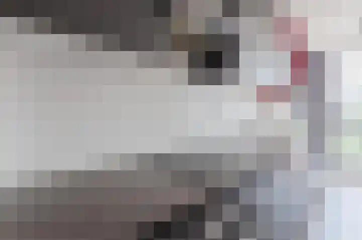 Groenhoven 256 Amsterdam thumbnail 17