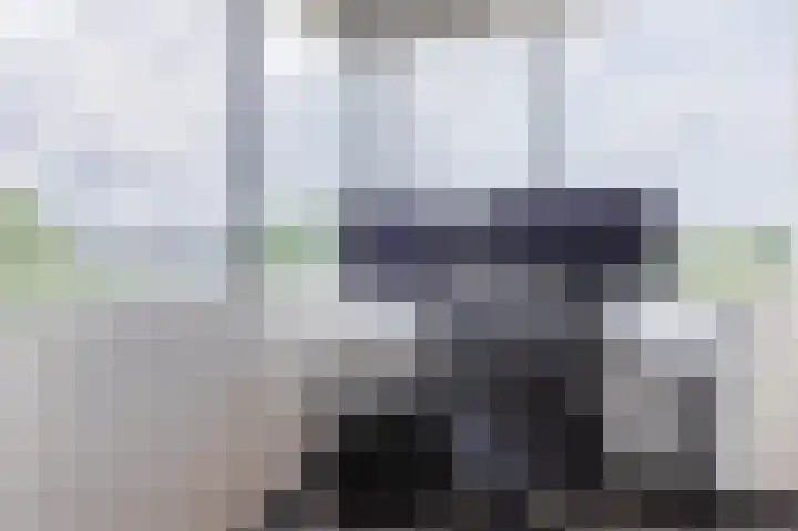 Groenhoven 256 Amsterdam thumbnail 25