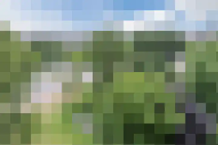 Groenhoven 256 Amsterdam thumbnail 35