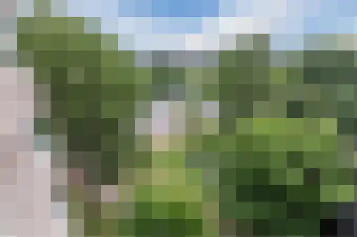 Groenhoven 256 Amsterdam thumbnail 36